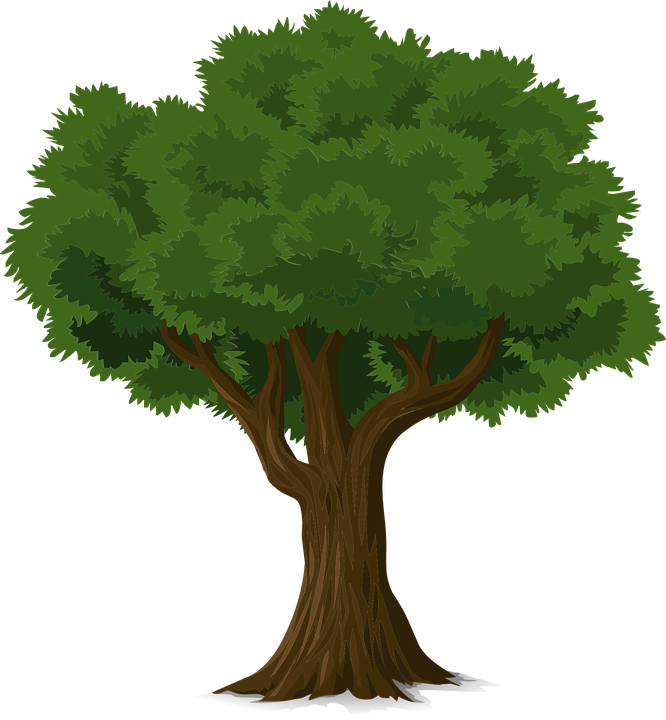 arbre-écologie