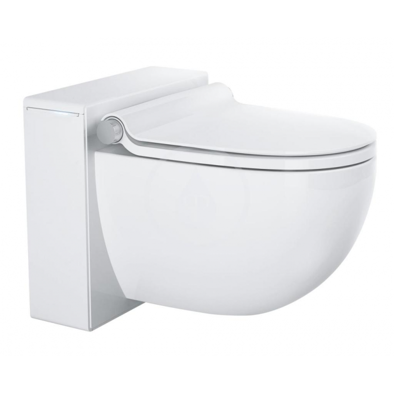 Grohe Sensia IGS WC lavant suspendu pour réservoirs de chasse encastrés, Blanc alpin (39111SH0)
